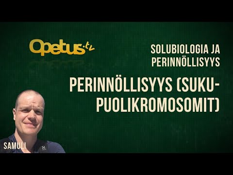 Video: Miten kromosomit periytyvät?