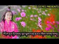 Old Bhutanese song Mikhar laybi Meto by Dechen Pem from the movie The Regret Mp3 Song