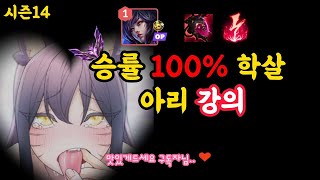 시즌14  승률100% 미드1티어 꿀챔 아리강의 유성or감전 😍