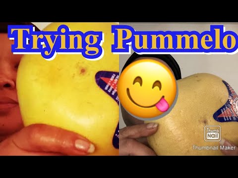 Florida Starburst Pummelo  Versus Grapefruit