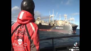 A other sea Shepherd edit