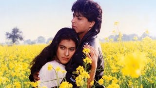 Tujhe Dekha To Ye Jana Sanam | Kumar Sanu, Lata Mangeshkar | Kajol, Shahrukh Khan