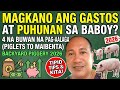 MAGKANO ANG PUHUNAN SA 1-10 Heads  BABOY NGAYONG 2026? (Gastos sa 1 vs 10 Patabaing Baboy 