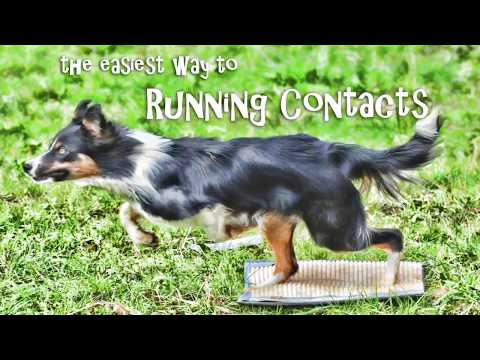 The Easiest Way to Running Contacts DVD trailer