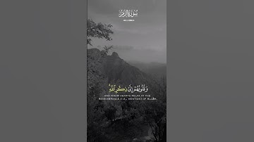 #ماهر_المعيقلي #سورة_الزمر #قران_كريم #اكسبلور #آيات_قرانية #تيك_توك #fyp #foryou #quran #duet #لايك