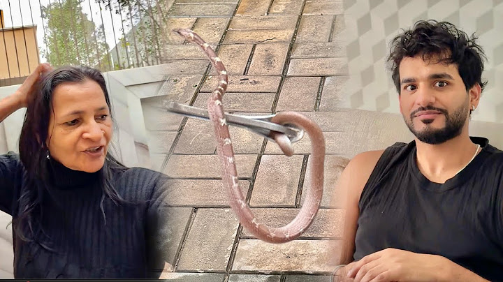 Ghar mein nikla saanp 😱( snake 🐍)