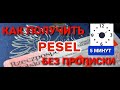 Как получить PESEL  без прописки!