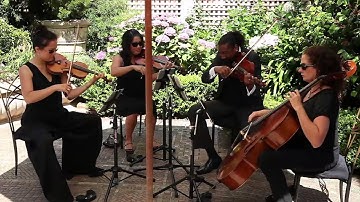 "You Belong WIth Me" by Taylor Swift performed by Synchronicity Strings