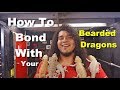 How To Bond With Your Bearded Dragon Tips !! Part 1