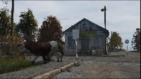 A heart for chinese cheaters - DayZ