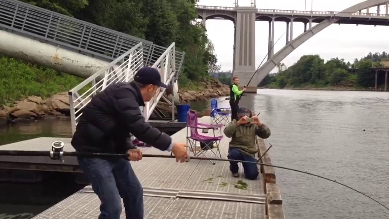 Sturgeon Fishing on the Willamette River, June 2016 