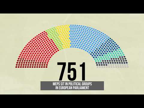 How Many Members Of European Parliament Are There | Perspective With Alison Smith