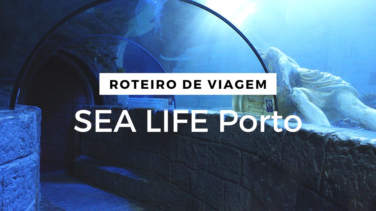 Conheça o incrível SEA LIFE Porto | Roteiro de Viagem em Portugal