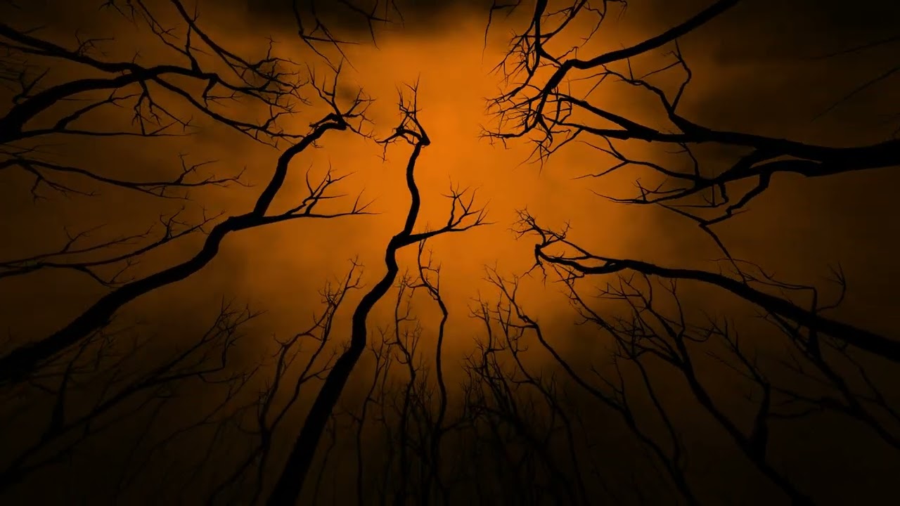 Halloween Orange Night Sky Woods 4K Motion Background Wallpaper Screen Saver