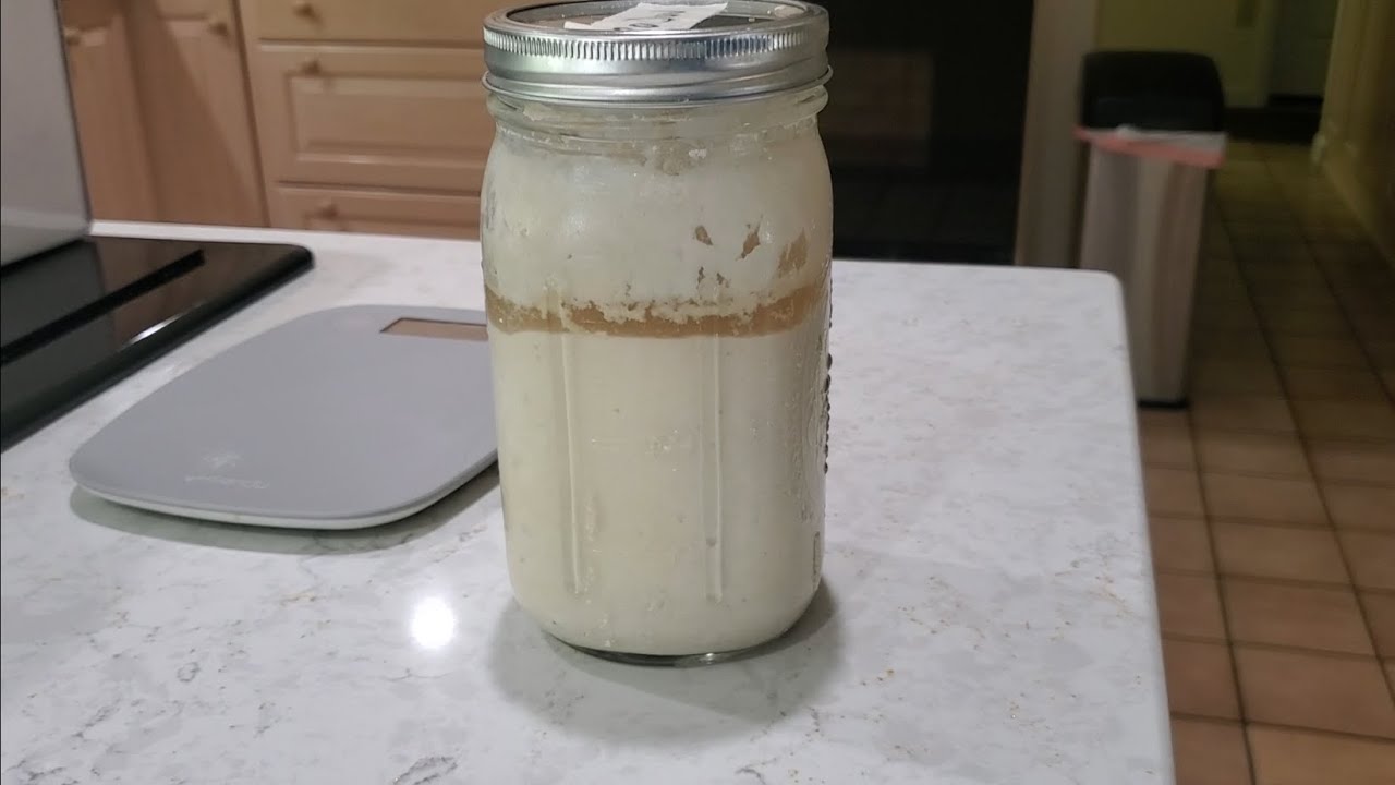 What's that liquid in my starter? YouTube