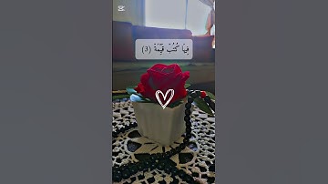 سورة البينة من الآية 1 إلى الآية 5#سعد_الغامدي #quran #قران_كريم #اكسبلور #لايك #متابعة