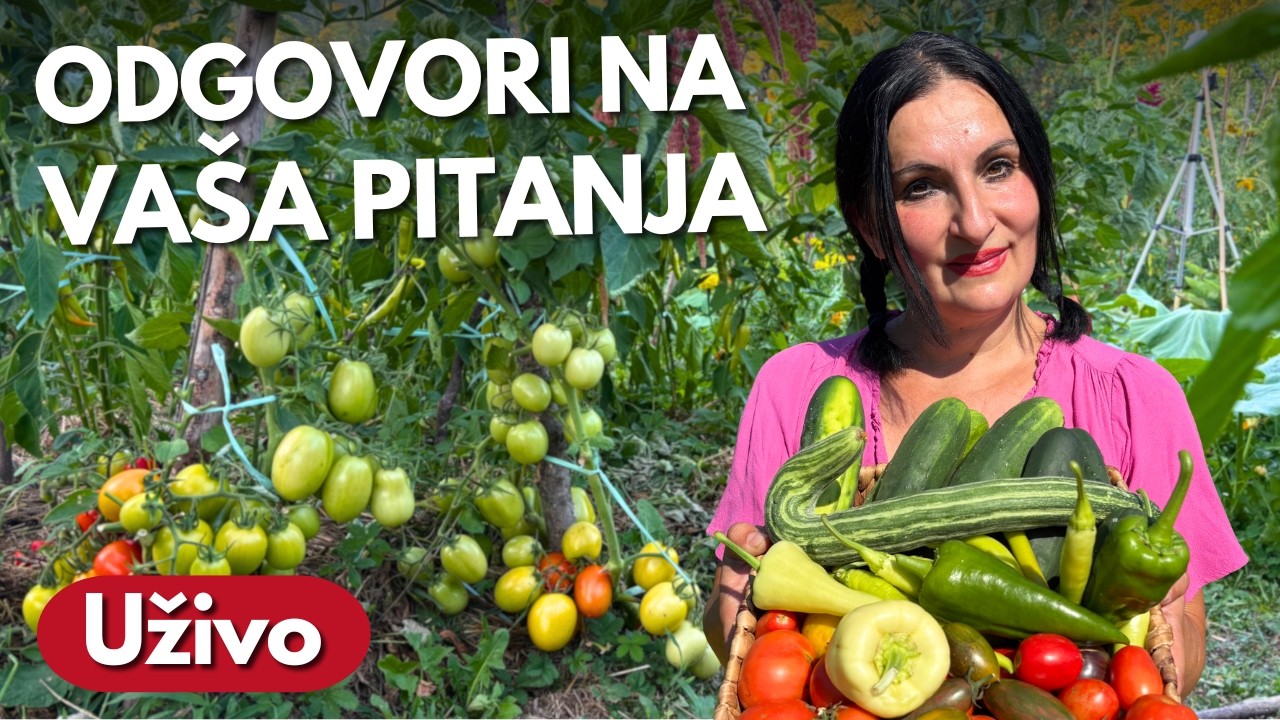 Latest Title & Thumbnail