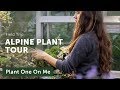 Alpine Plant Tour at Gothenburg Botanical Gardens — Ep. 187