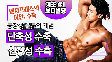 보디빌딩 기초 #1. 등장성운동(단축성수축, 신장성수축)을 벤치프레스를 통한 이해