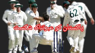 Pakistan bed performance in first test PAKvAUS PerthTest Pakcricket AusvsPak 1sttest