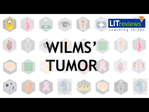 Wilms&rsquo; Tumor