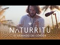 N  t u r r i t u  el llamado del cndor hybrid djset  folktronica  organic downtempo