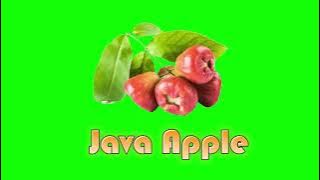 Free Download Fruits  Video green screen