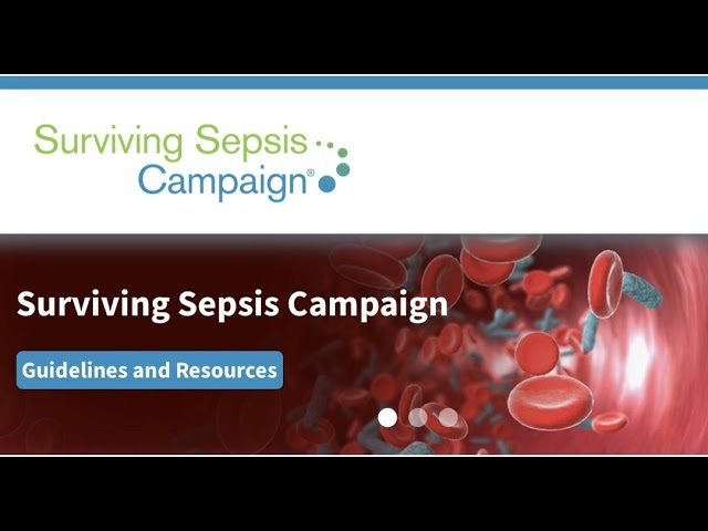 2026 Sepsis Guidelines: What Changed & What Has Not — Dr. Hassabolus Vindicated Again 2026 Sepsis Guidelines: What Changed & What Has Not — Dr. Hassabolus Vindicated Again