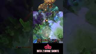 New Skill Fountain Fly By Huskar