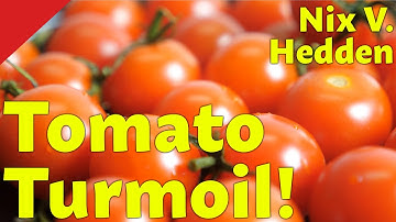 Tomato Turmoil! The Interesting Story of Nix v. Hedden
