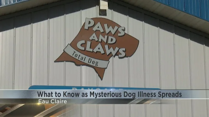 Local vet shares what to know as a mysterious illness spreads among dogs