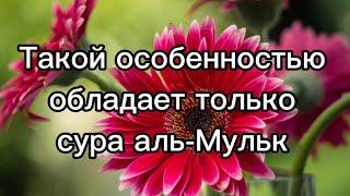 Это Сура Является защищающей от мучений в могиле.