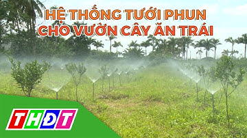 Ứng dụng hệ thống tưới phun cho vườn cây ăn trái | Khuyến nông | THDT