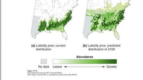 The Living World — Biodiversity- Evolution of Niches and Species