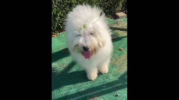 Projekt 11-11_Full HD 1080p.mp4