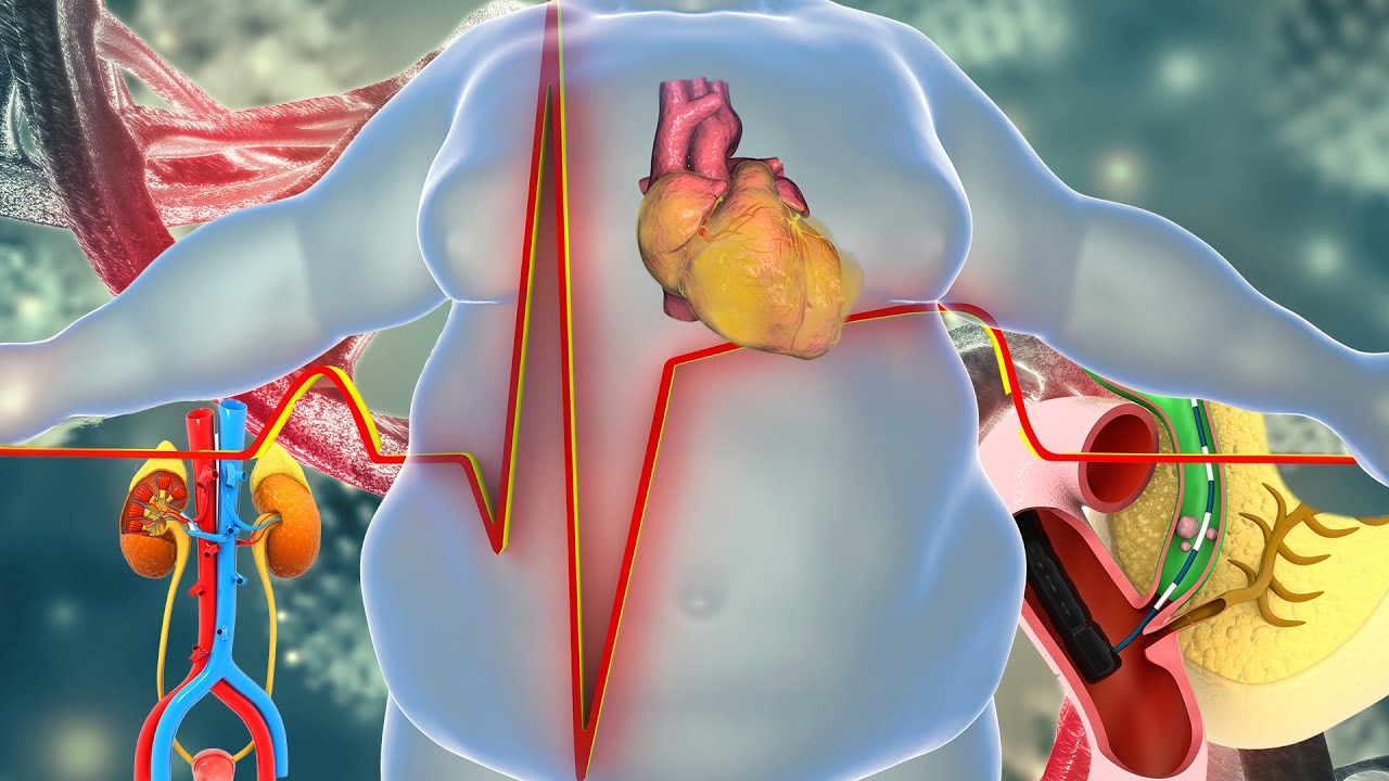 Чрезвычайно мощная частота сжигания жира | 528 Гц + 432 Гц | Альфа-волны для похудения, сжигание ...