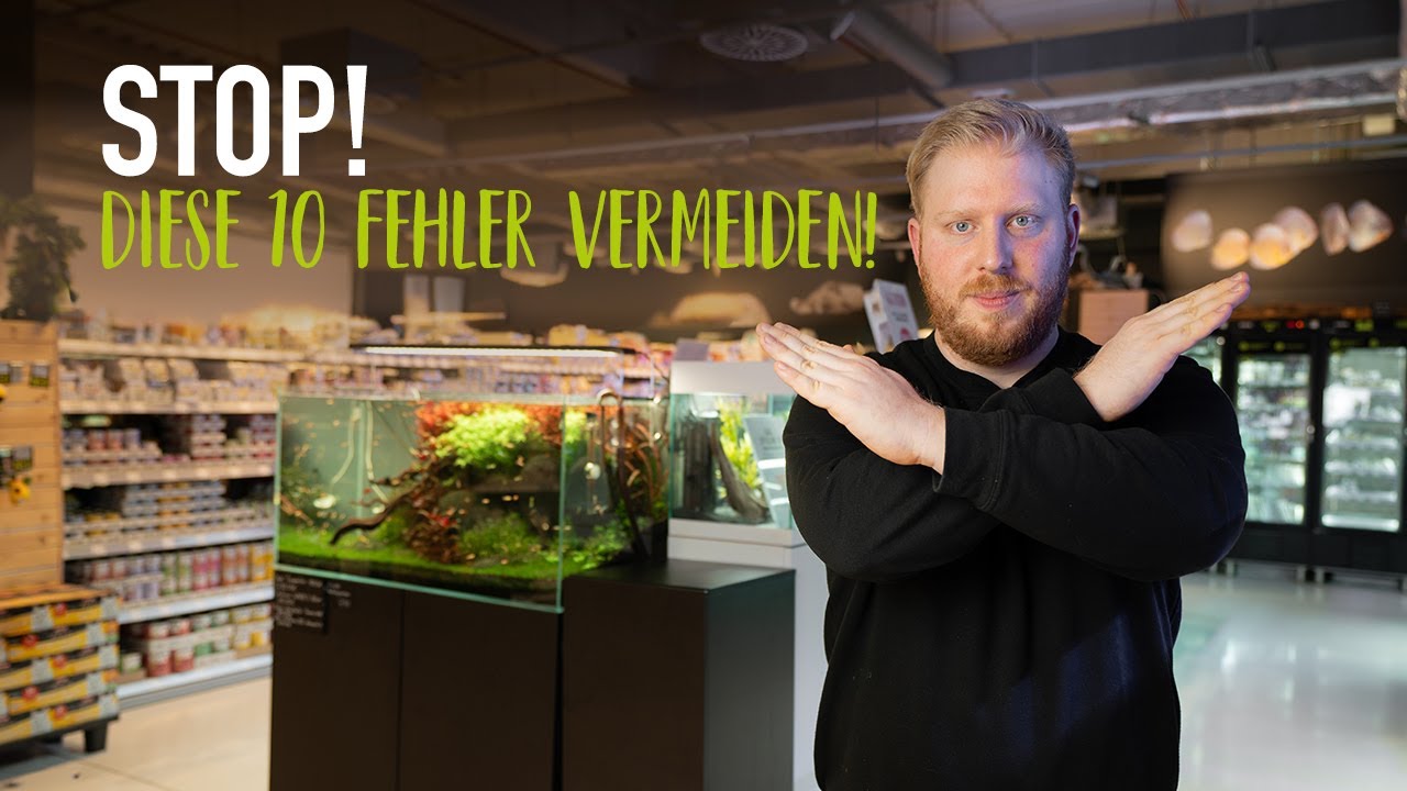 Die 10 häufigsten Aquaristik-Fehler | KÖLLE ZOO