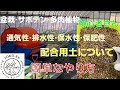 【盆栽・サボテン・多肉植物】当店オリジナル配合用土について