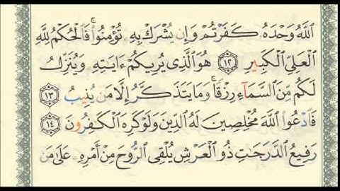 الشيخ سلمان العتيبي سورة الفاتحة و ما تيسر من سورة غافر