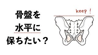 骨盤を水平に保ちたいときに使う筋肉