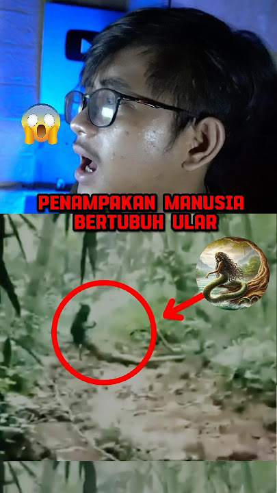 The mystery of the appearance of a snake ghost was caught on camera