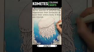 Watch me bring this stunning jellyfish to life with colors Free coloring page download link below