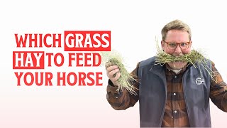 Which Grass Hay You Should Feed Your Horse