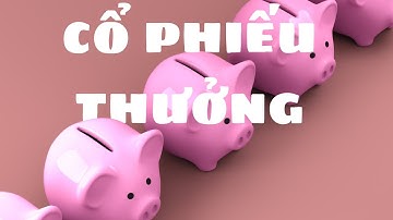CỔ PHIẾU THƯỞNG LÀ GÌ | Cổ phiếu - Cổ tức | 100 Thuật ngữ chứng khoán