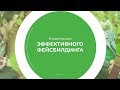 Дистанционный курс обучения «Фейсбилдинг» - 8 советов для эффективного фейсбилдинга