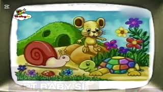 BabyTV Art Turtle 