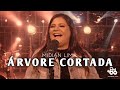 Muito Forte!! Árvore Cortada - Midian Lima ( LIVE 2020 )