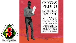 Miniatura del video "Gnonnas Pedro - La Combinacion de Gnonnas (audio)"
