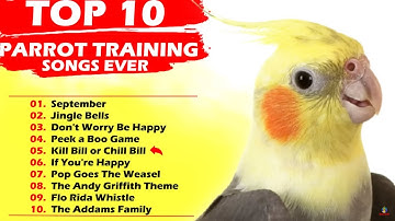 Thumbnail of TOP 10 PARROT TRAINING SONGS EVER Whistle Training Teach Your Bird Cockatiel Singing Budgie