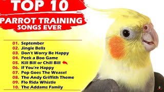 TOP 10 PARROT TRAINING SONGS EVER Whistle Training Teach Your Bird Cockatiel Singing Budgie